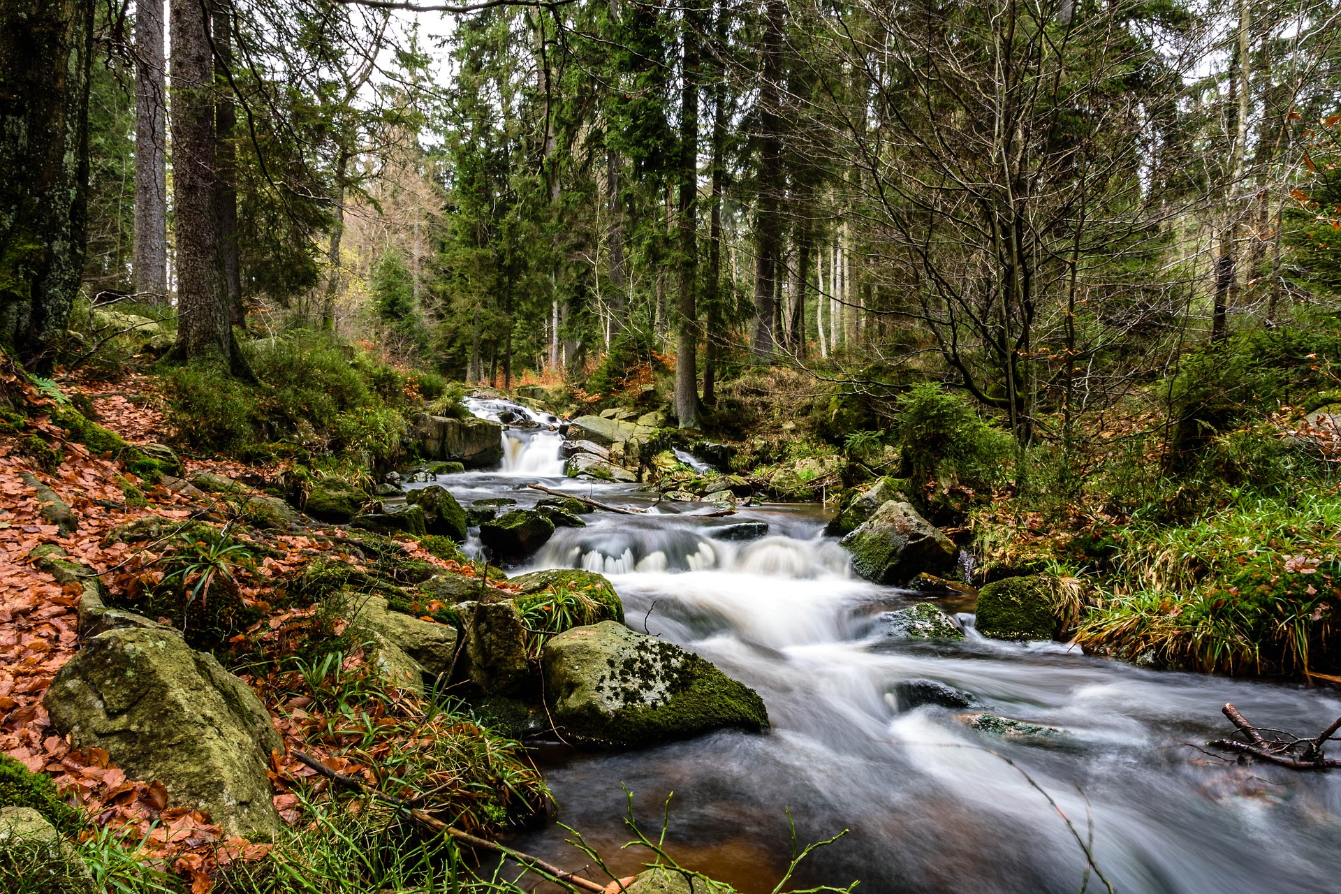 Herbstlandschaft im Harz – Arrangement Glück Auf